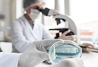 Microbiologia